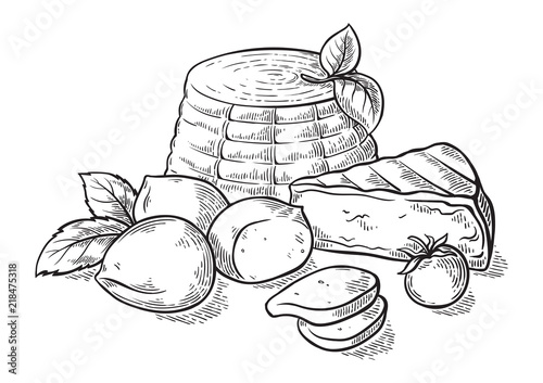 Cheese ricotta mozzarella hand drawn set engraving. vector illustration.