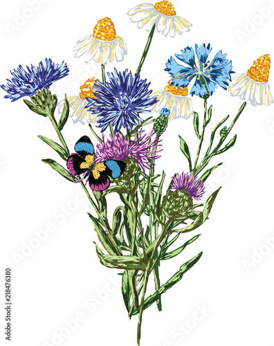 Vector image of a bouquet of wildflowers. All objects isolated.