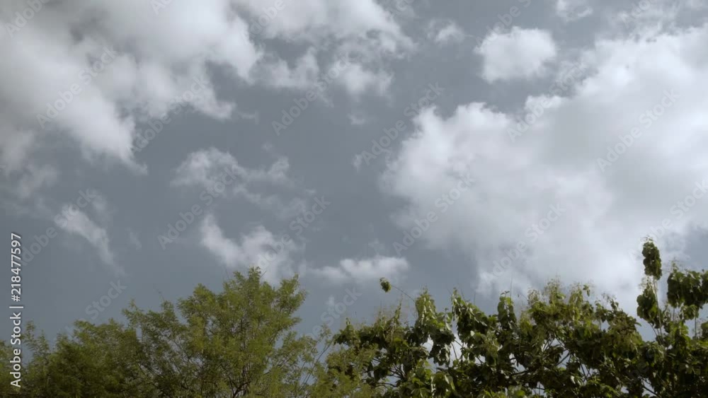 Cloud. White and Green. Cloud. White and Green.