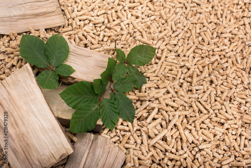 Deciduous oak biomass - wood, pellets and leaves © tchara