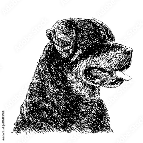 Rottweiler