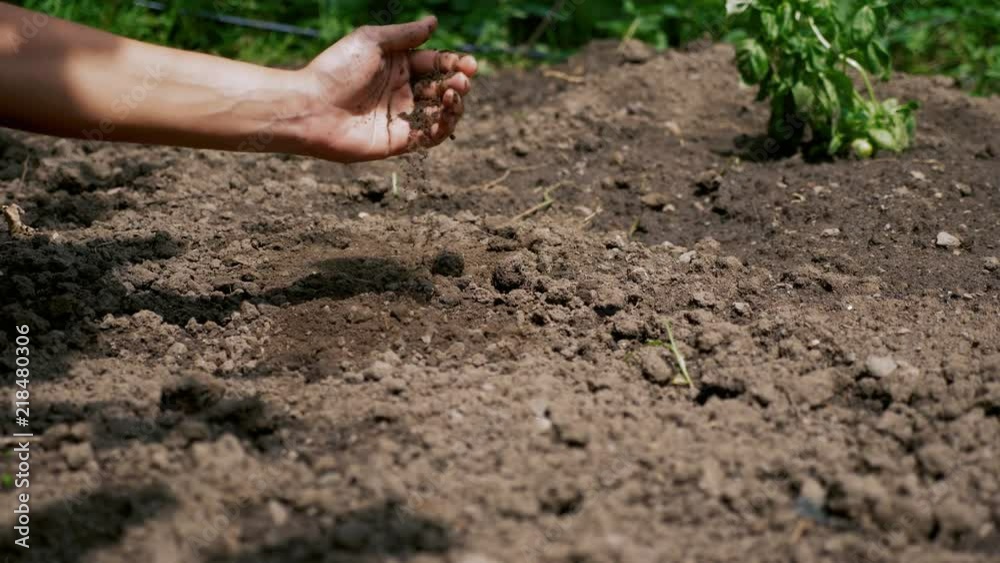 Grabbing and touching the soil at the farm with the hand and testing it.