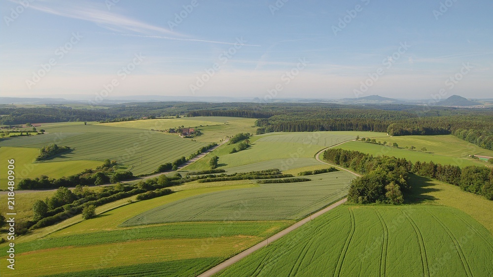 wiese in hegau in der Nähe von Tuttlingen im Sommer wiese in hegau in der Nähe von Tuttlingen im Sommer