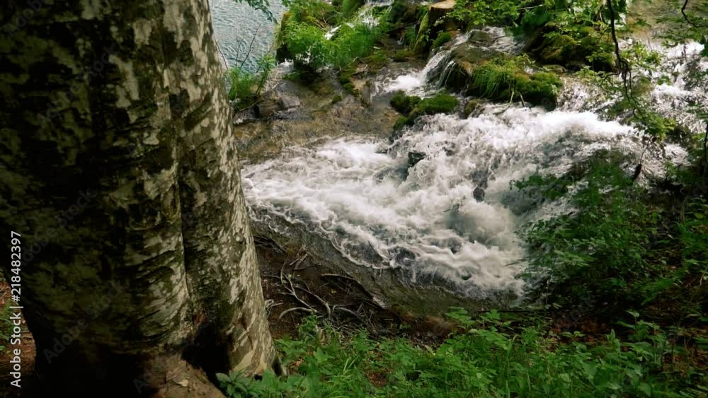 Waterfall near a big tree in the forest recorded in slow motion. Waterfall near a big tree in the forest recorded in slow motion.