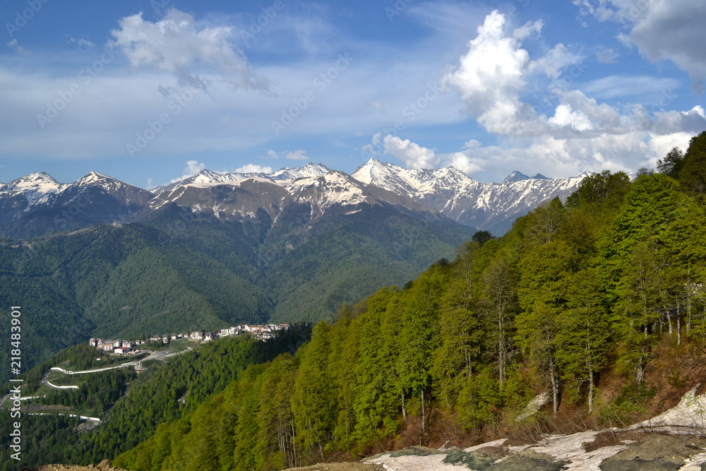 Unparalleled landscape. Trees on the slope of the mountain in Krasnaya Polyana on the background of a beautiful mountain range and blue sky with white clouds in the spring. Sochi. Rosa Khutor. Adler..