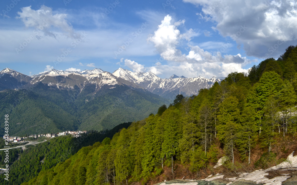 Unparalleled landscape. Trees on the slope of the mountain in Krasnaya Polyana on the background of a beautiful mountain range and blue sky with white clouds in the spring. Sochi. Rosa Khutor. Adler..