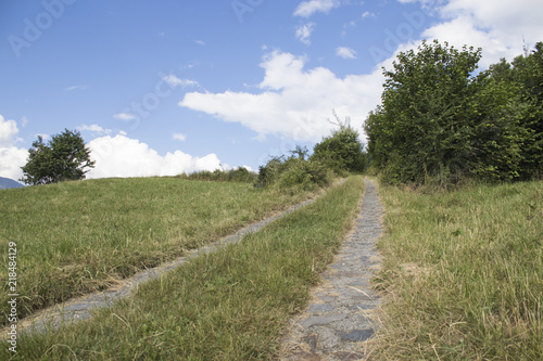 A country road immerse in a beautiful environment with a blue sky