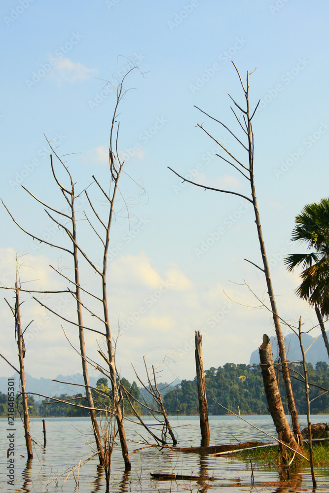Branchs of Dead trees in the lake and mountain background in Thailand