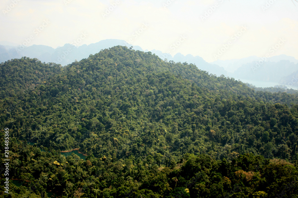View of the jungle on the mountain forest in Thailand
