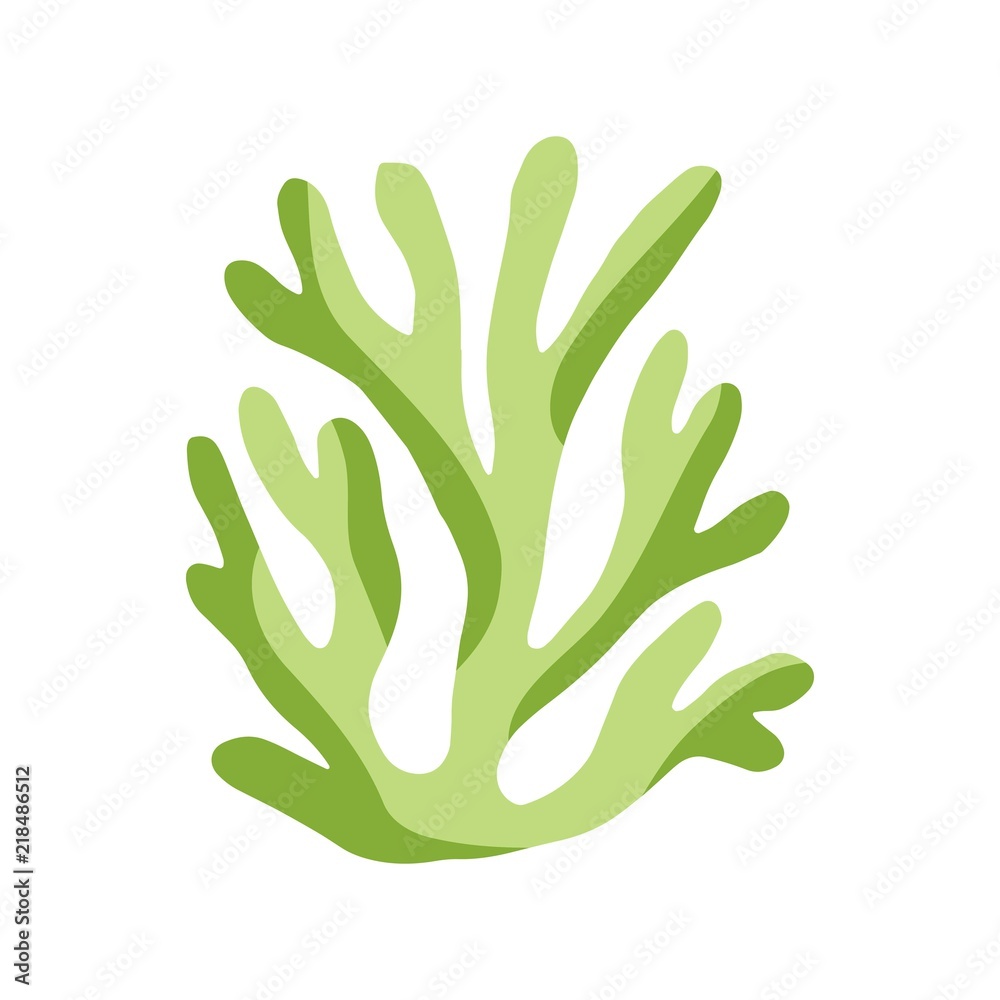 seaweed in isolation. colored green sea plant. seaweed in isolation. colored green sea plant.