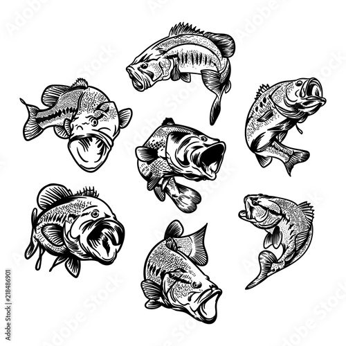 illustration for fishing logo. Fisherman logo. Fishing logo	