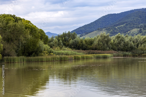 Lake with reed and trees in Romania mountains