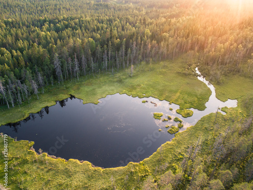 Fototapeta Naklejka Na Ścianę i Meble -  Aerial view of forest and little lake or pond in boreal aka taiga forest in Finland