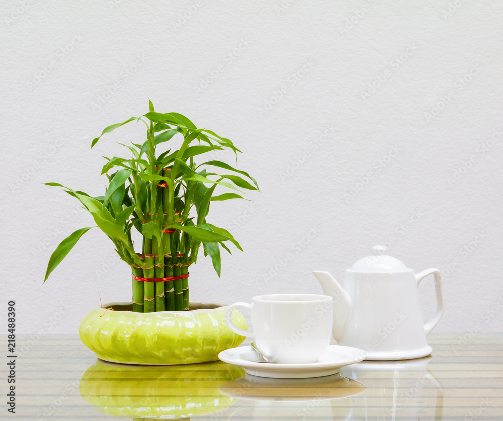 coffee cup and teapot white. Bamboo tree in pot On the glass table wooden and a cement wall background. copy space