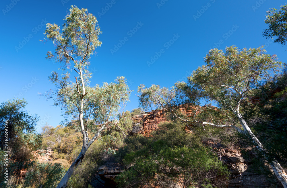 Looking down in the gorges of kalbarri National Park, WA, Western Australia ,Oceania Looking down in the gorges of kalbarri National Park, WA, Western Australia ,Oceania