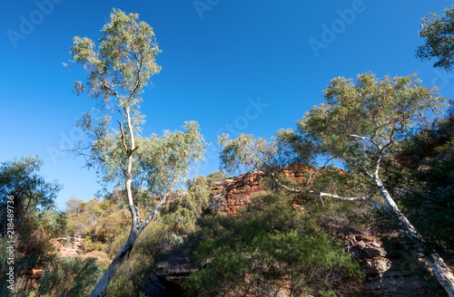 Looking down in the gorges of kalbarri National Park, WA, Western Australia ,Oceania