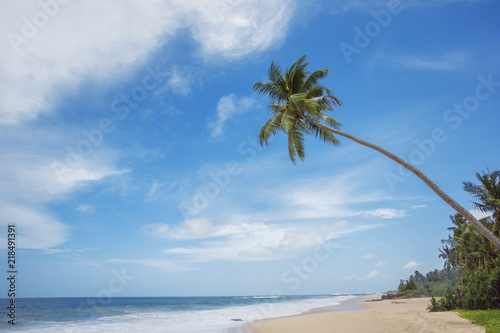 Untouched tropical beach © daranna