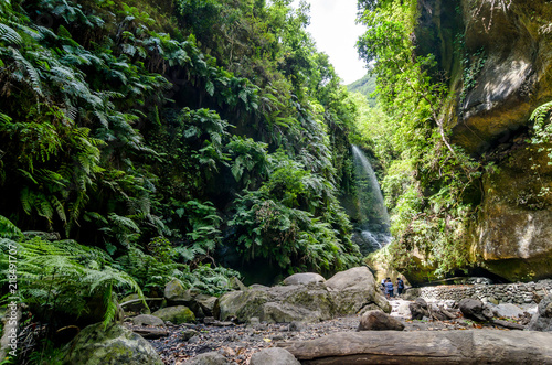 Waterfall and ferns in laurisilva forest in La Palma, Canary isl photo
