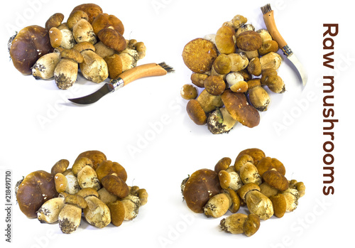 Raw mushrooms collection. Cep isolated on white