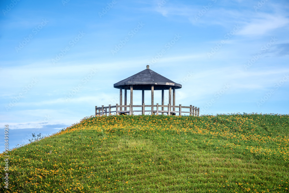 The Orange daylily(Tawny daylily) flower farm at Taimali Mountain with blue sky and cloud, Taitung, Taiwan The Orange daylily(Tawny daylily) flower farm at Taimali Mountain with blue sky and cloud, Taitung, Taiwan