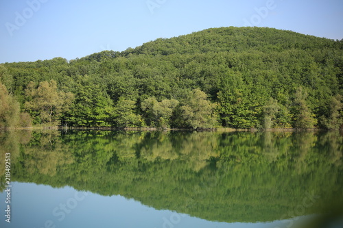nature