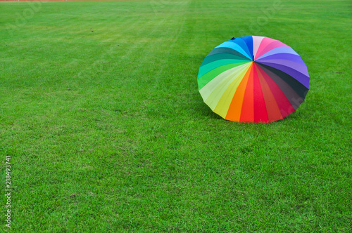 Rainbow umbrella on green grass background.colorful umbrella