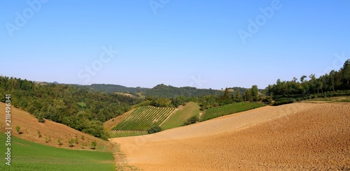 Beautiful hilly landscape characterized by grapes cultivation