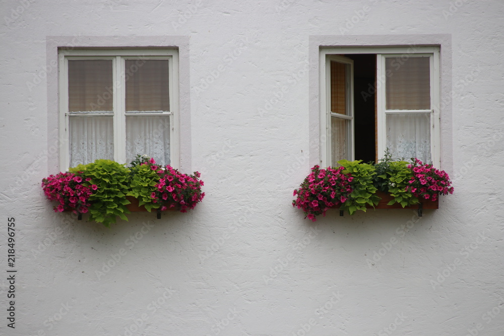 Naklejka premium Zwei Fenster