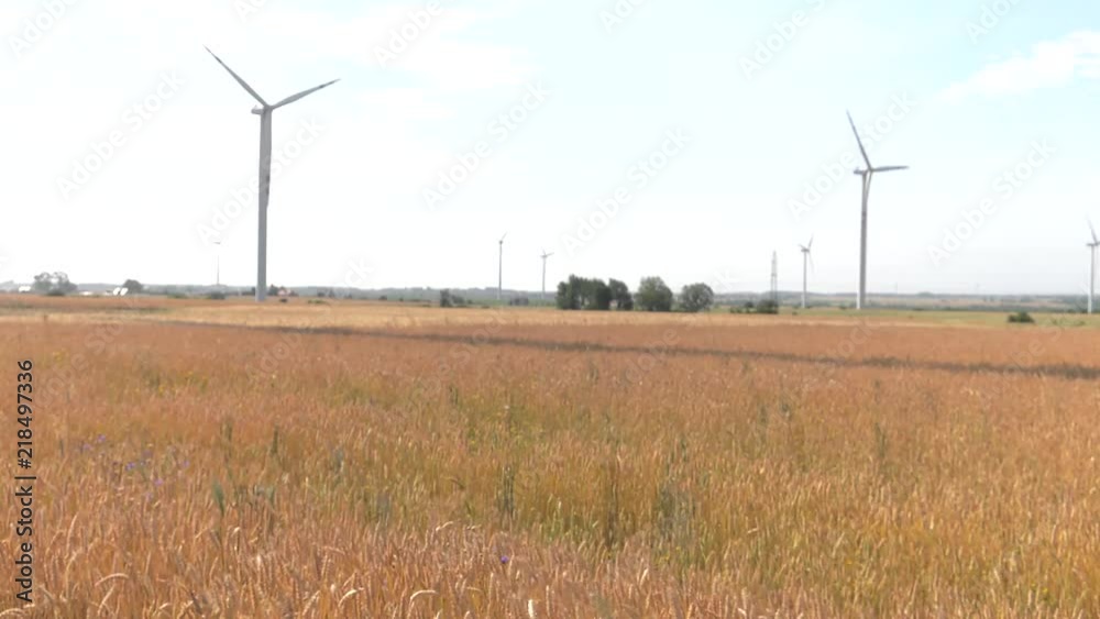 The windmill from the wind farm is spinning. The shovels apply shade to the wheat field. , Audio The windmill from the wind farm is spinning. The shovels apply shade to the wheat field. , Audio