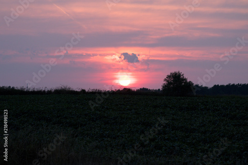 Red Hot Sunset