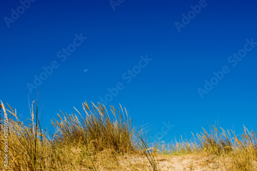 Dune Marchand in Frankreich