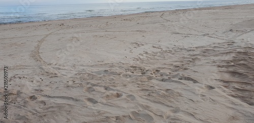 Baltic sea beach in the morning