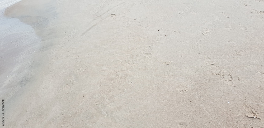 Sand of the baltic sea beach
