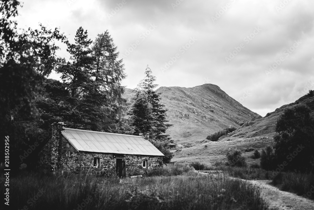 custom made wallpaper toronto digitalBothy in Scotland