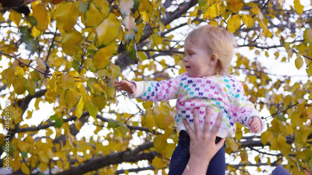 Father lifts up daughter so she can look at tree leaves during fall/autumn Father lifts up daughter so she can look at tree leaves during fall/autumn