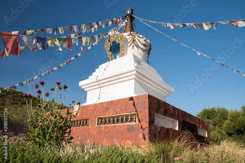 Photography Colourful thistle in front of the Stupa