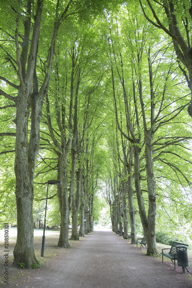 Obraz premium Slottstradgardens Park, Malmo