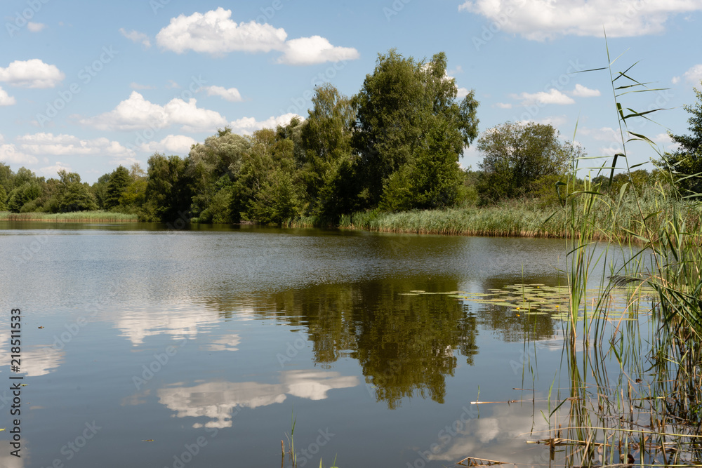 Obraz premium Les eaux du marais de la Ferme de Heide, Ham-sous-Varsberg, Moselle, Grand Est, France