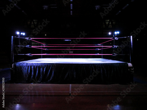 Ring di Wrestling photo