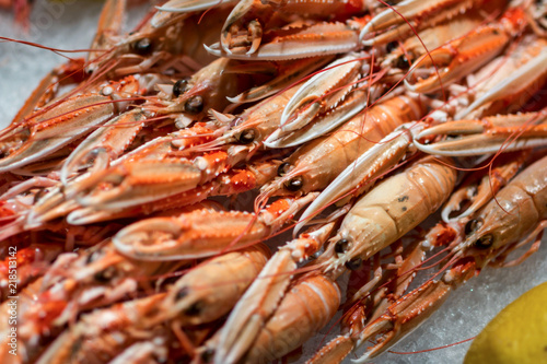 Fresh seafood in the fish market