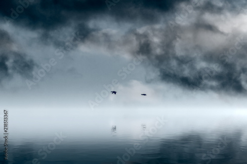 Ducks flying over water with the dramatic sky