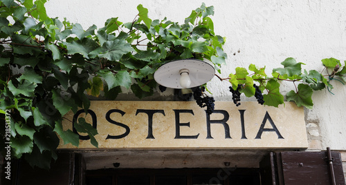 Osteria, Tavern. Typical italian restaurant sign with grapevine plant and real bunches of grapes. Arquà Petrarca, Veneto, Italy photo