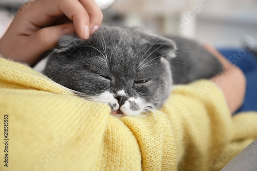 Fototapeta Naklejka Na Ścianę i Meble -  Woman stroking her cat at home, closeup