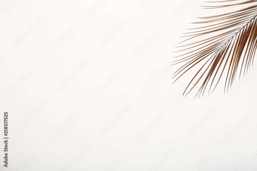 Fototapeta premium Painted tropical Date palm leaf and space for text on white background, top view