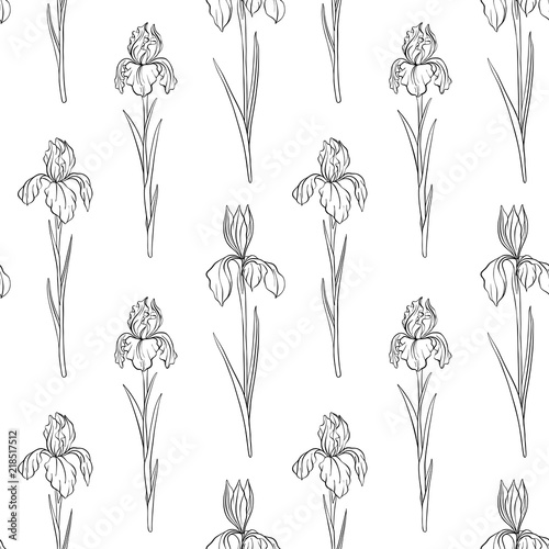 vector seamless pattern with flowers of iris
