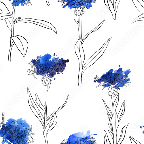 vector seamless pattern with drawing cornflowers
