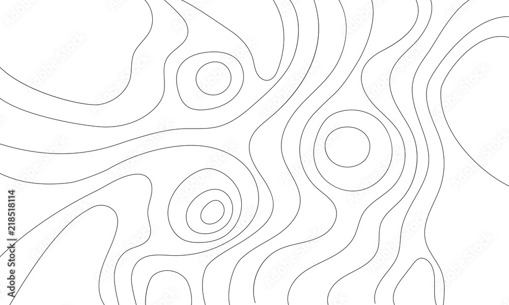 The stylized height of the topographic contour in lines and contours. The concept of a conditional geography scheme and the terrain path. Vector illustration. The stylized height of the topographic contour in lines and contours. The concept of a conditional geography scheme and the terrain path. Vector illustration.