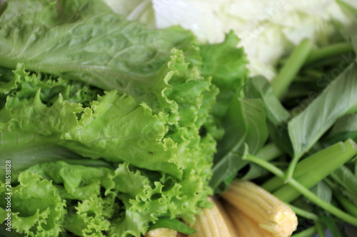 Closeup variety vegetable, include lettuce, Chinese cabbage, morning glory and baby corn.