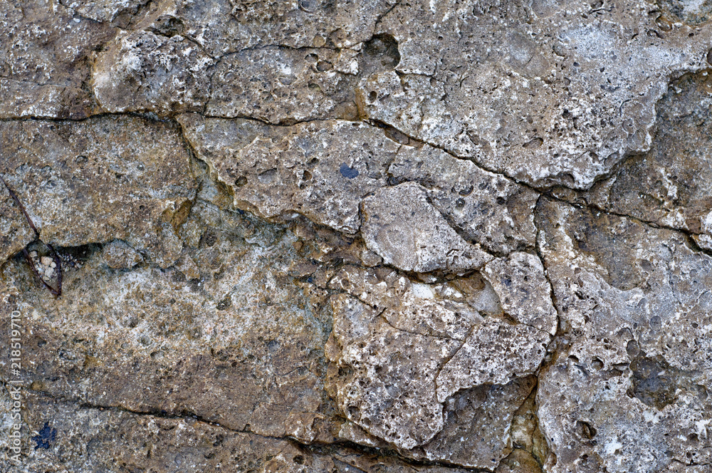 Surface of sea stone, structure, texture. Background Surface of sea stone, structure, texture. Background