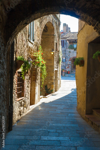 Capalbio is a small tower in maremma, tuscany, italy photo